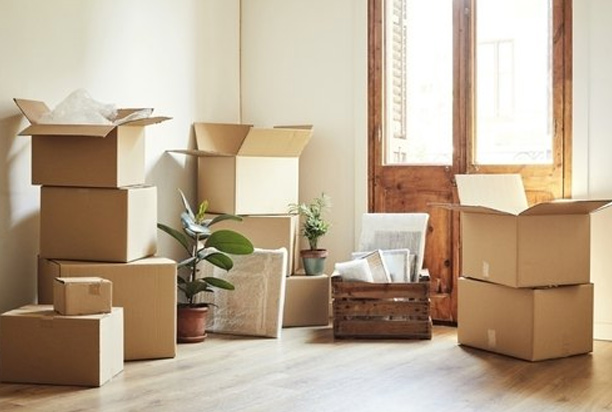movers and packers